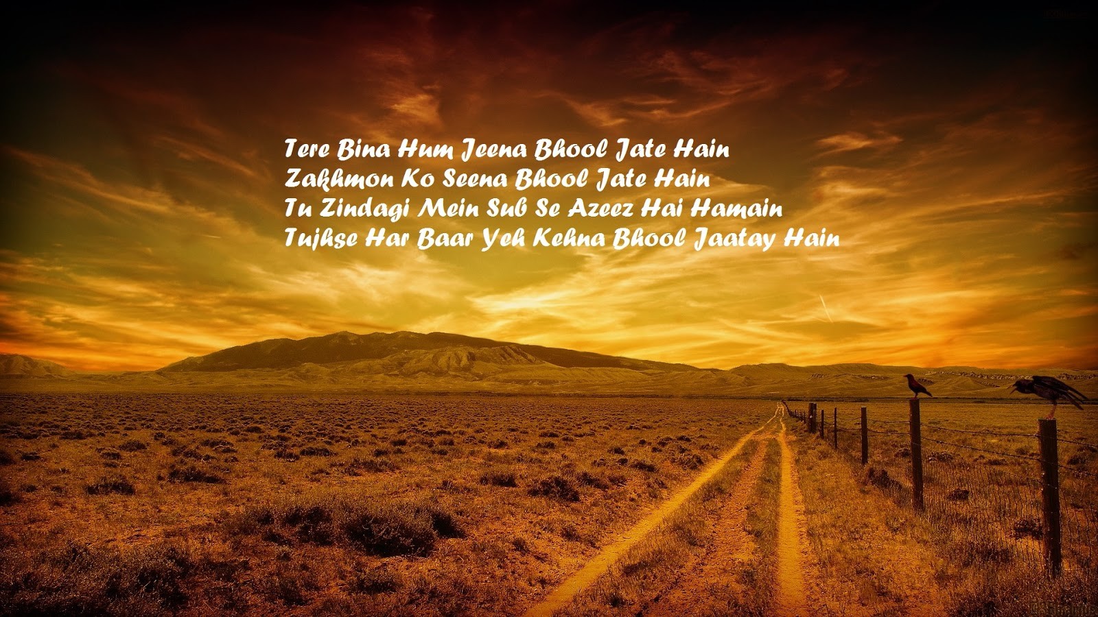 best dard shayari best dard shayari