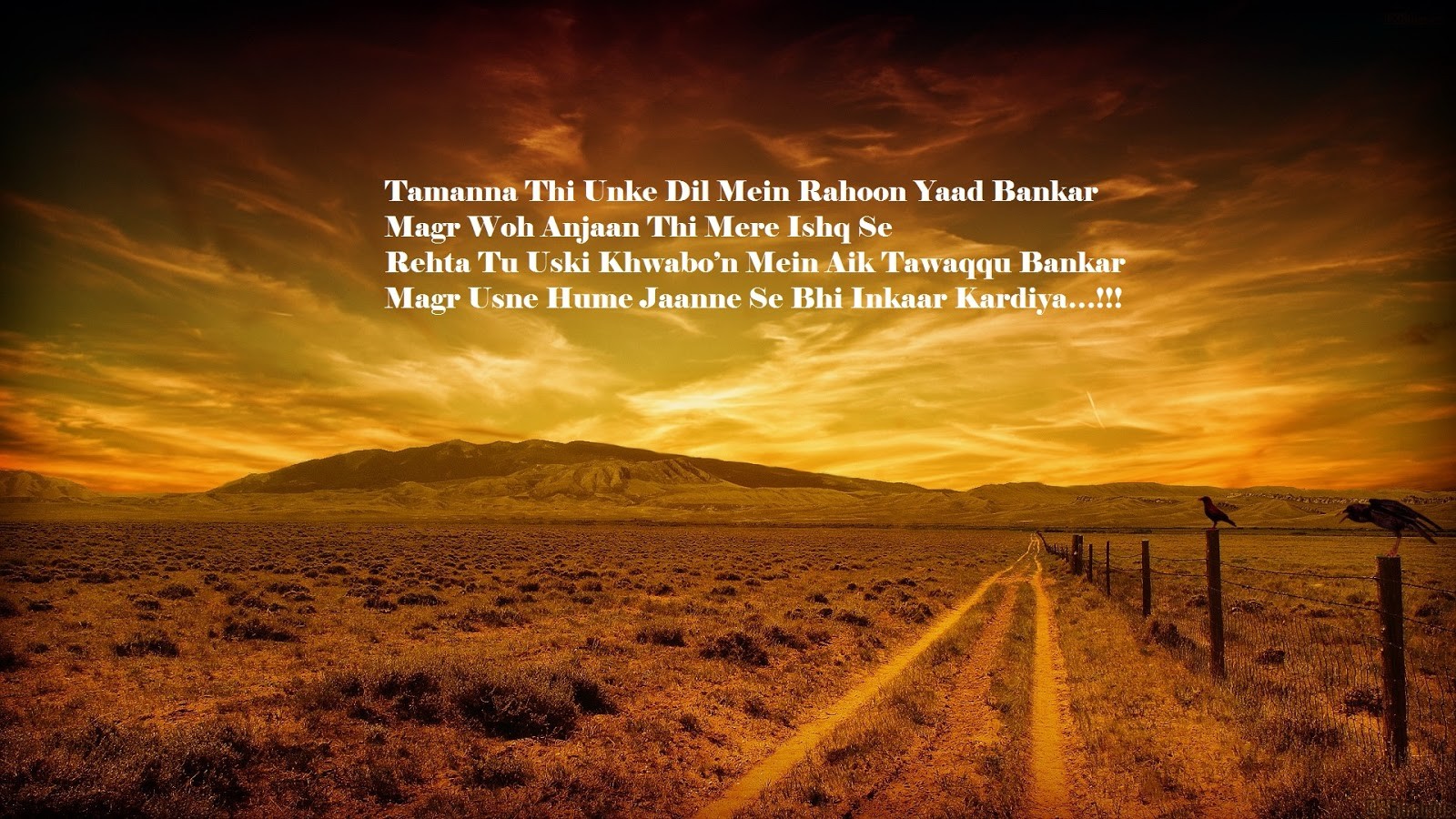 pyar ka dard shayari pyar ka dard shayari