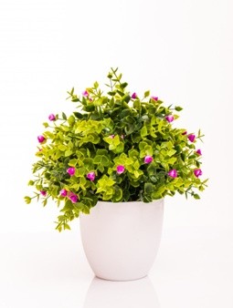 birthday gifts for mom online