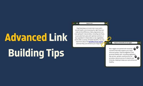advanced link building techniques